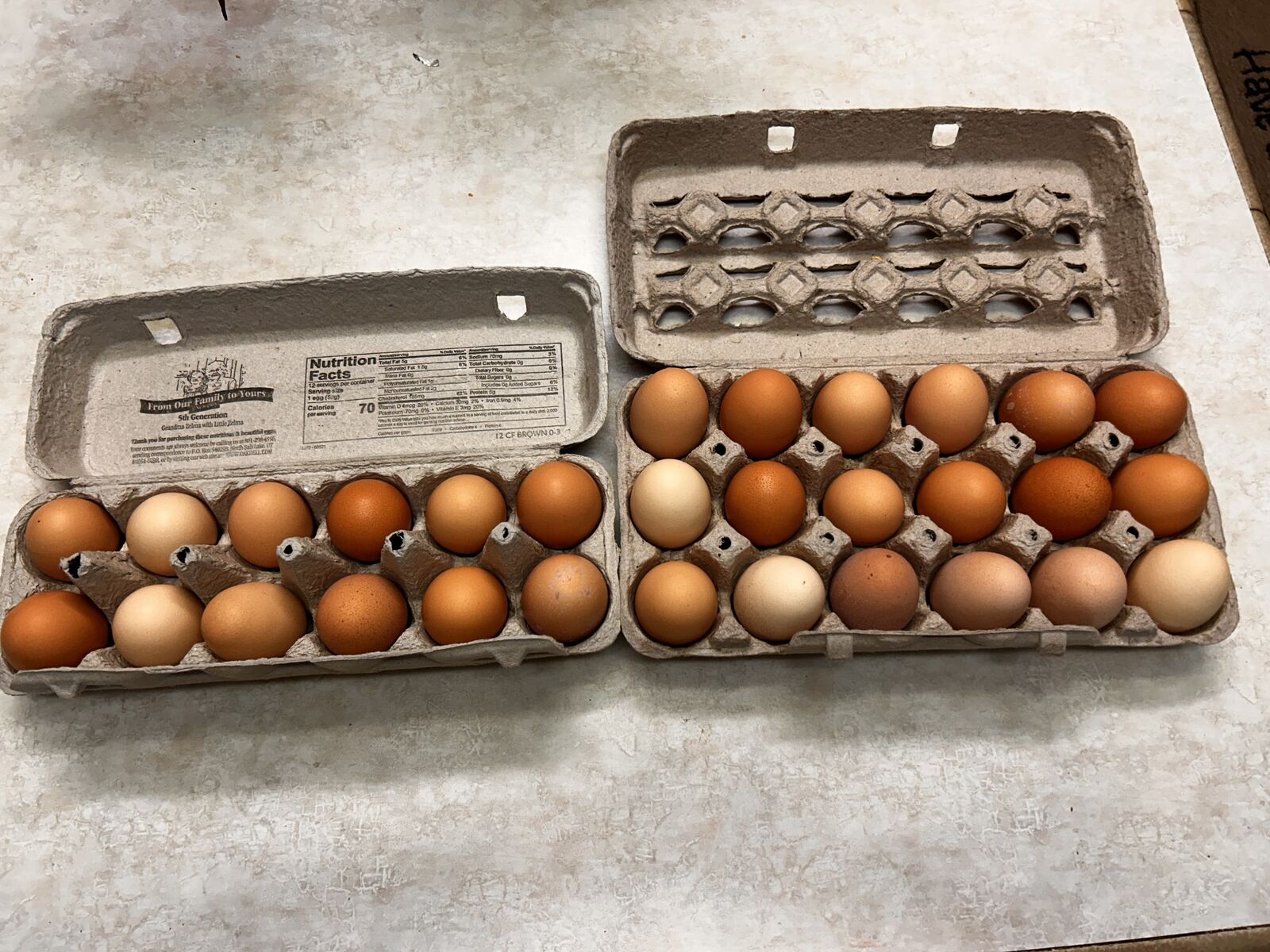 Free Range Chicken Eggs