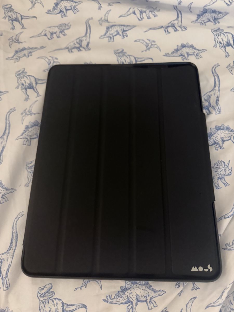Mous IPad Pro 13in Case