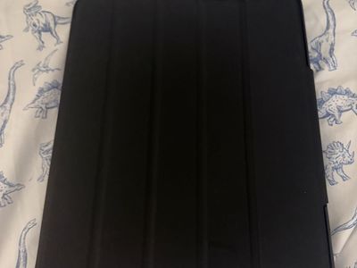 Mous IPad Pro 13in Case