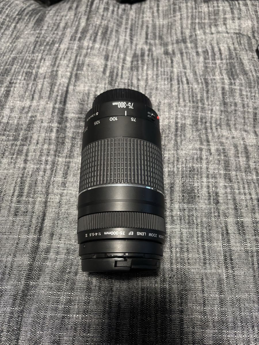 Canon EF 75-300mm f/4-5.6 III Zoom Lens - Telephoto for Canon EOS DSLR Cameras