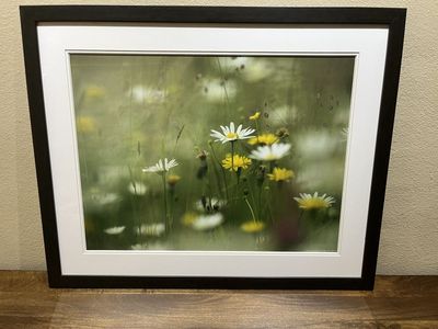 Framed Photographic Print - Flowers in a field - 24"x18" - Mint condition