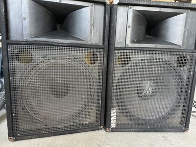 Yamaha passive monitor