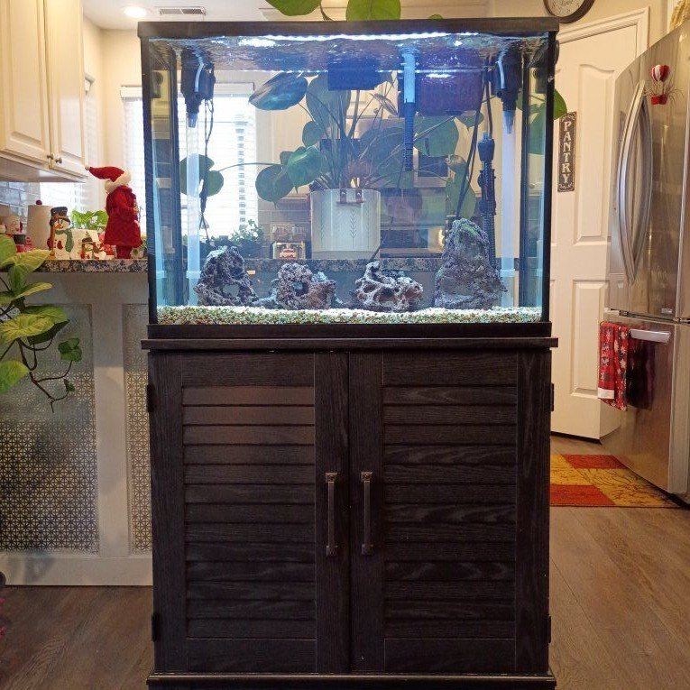 37 gal Aquarium with stand