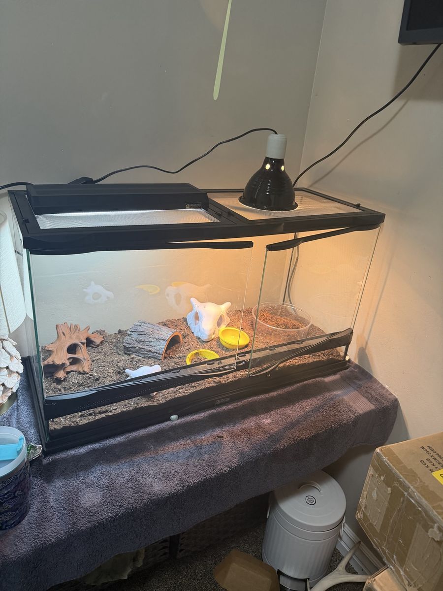 Zoo Med Reptile Terrarium Tank Setup with Lighting and Accessories
