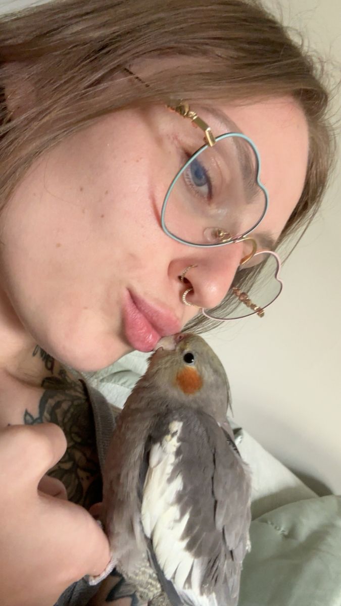 Pet Cockatiel - Gray and White Feathering with Orange Cheeks