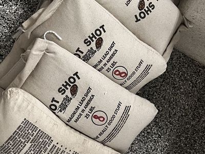 Shot - RELOADING