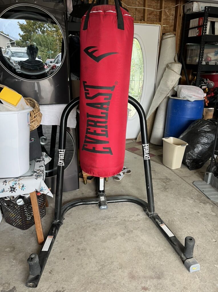 Everlast Punching Bag