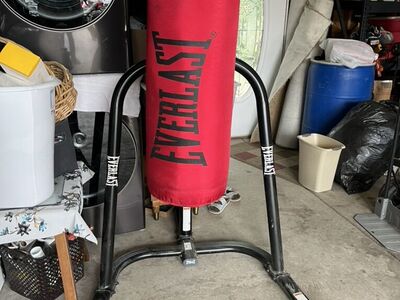 Everlast Punching Bag