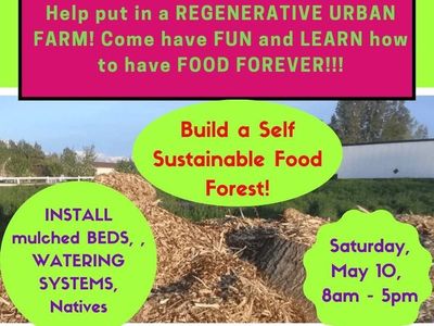 Mulching and Compost building Workshop