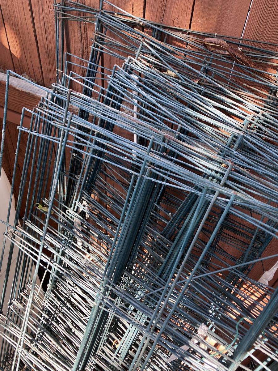 Tomatoe cages-