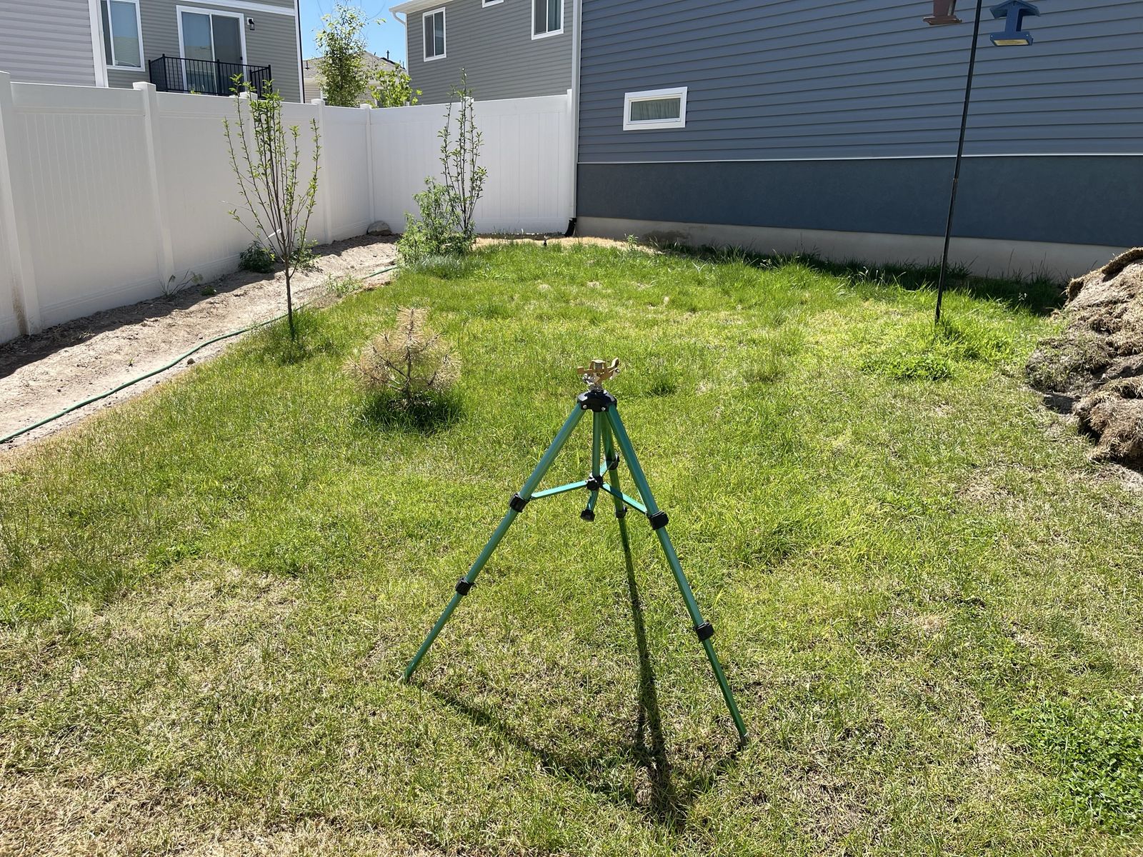 Main image 4