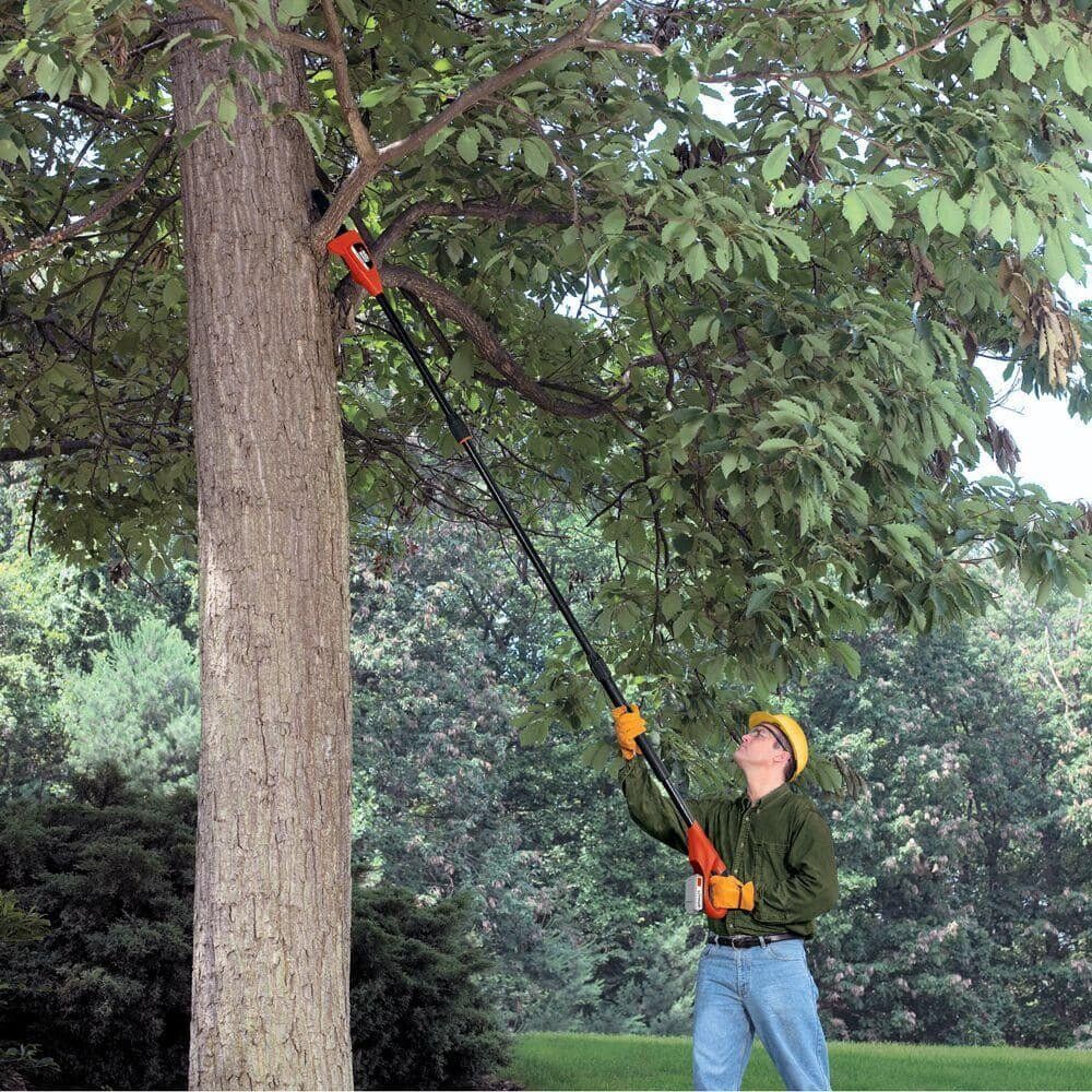 20V MAX 8in. Cordless Battery Powered Pole Saw