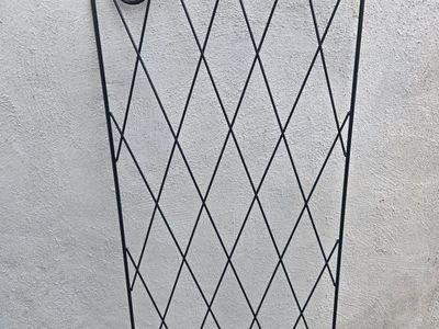Metal Garden Trellis