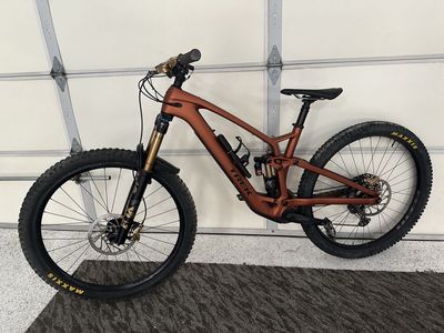 Trek Fuel Ex-E size Large