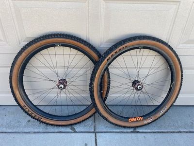 Derby / Chris King ISO carbon 29" wheels
