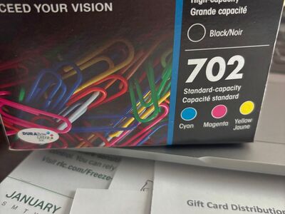 EPSON INK CARTRIDGES 702