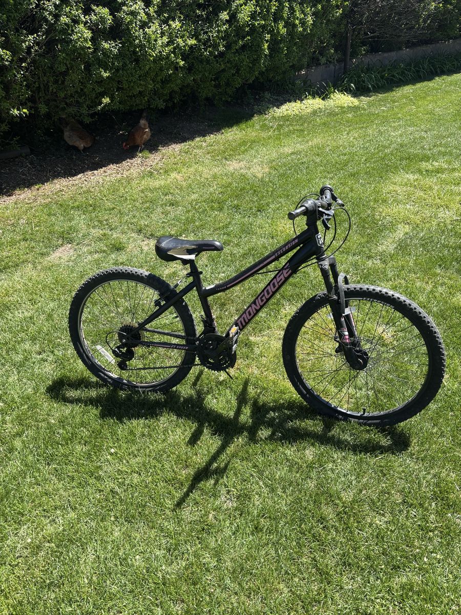 24” mountain bike
