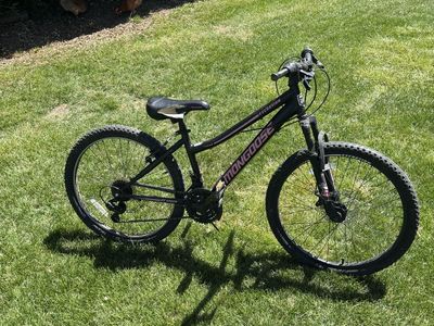 24” mountain bike