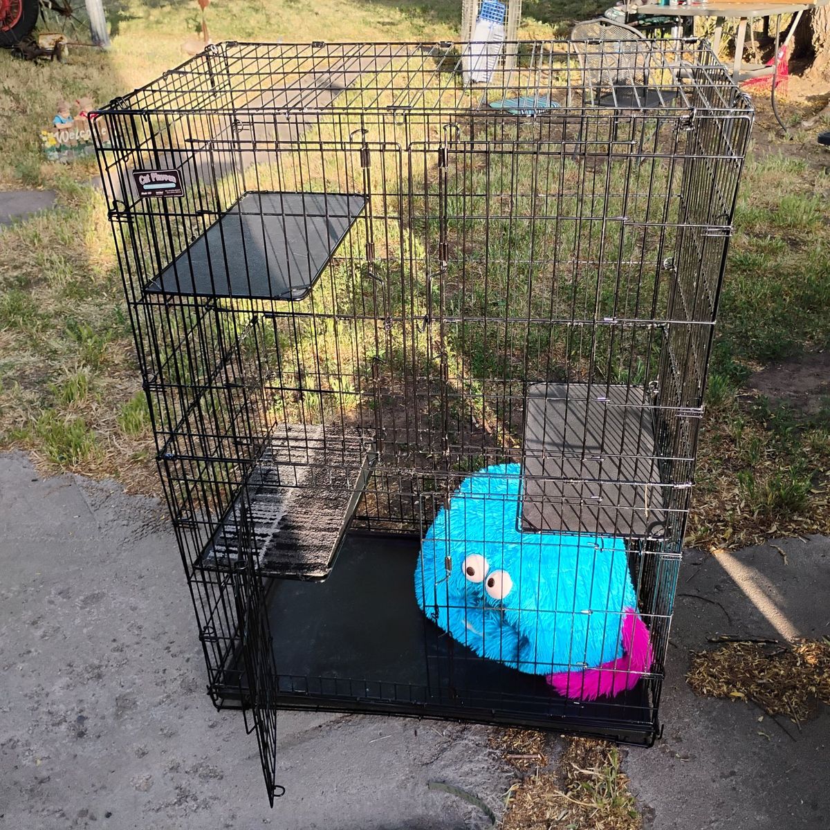Cat  Playpen W/3 Adjustable Shelves 3'x2'x4' Hi