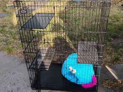 Cat Playpen W/3 Adjustable Shelves 3'x2'x4' Hi