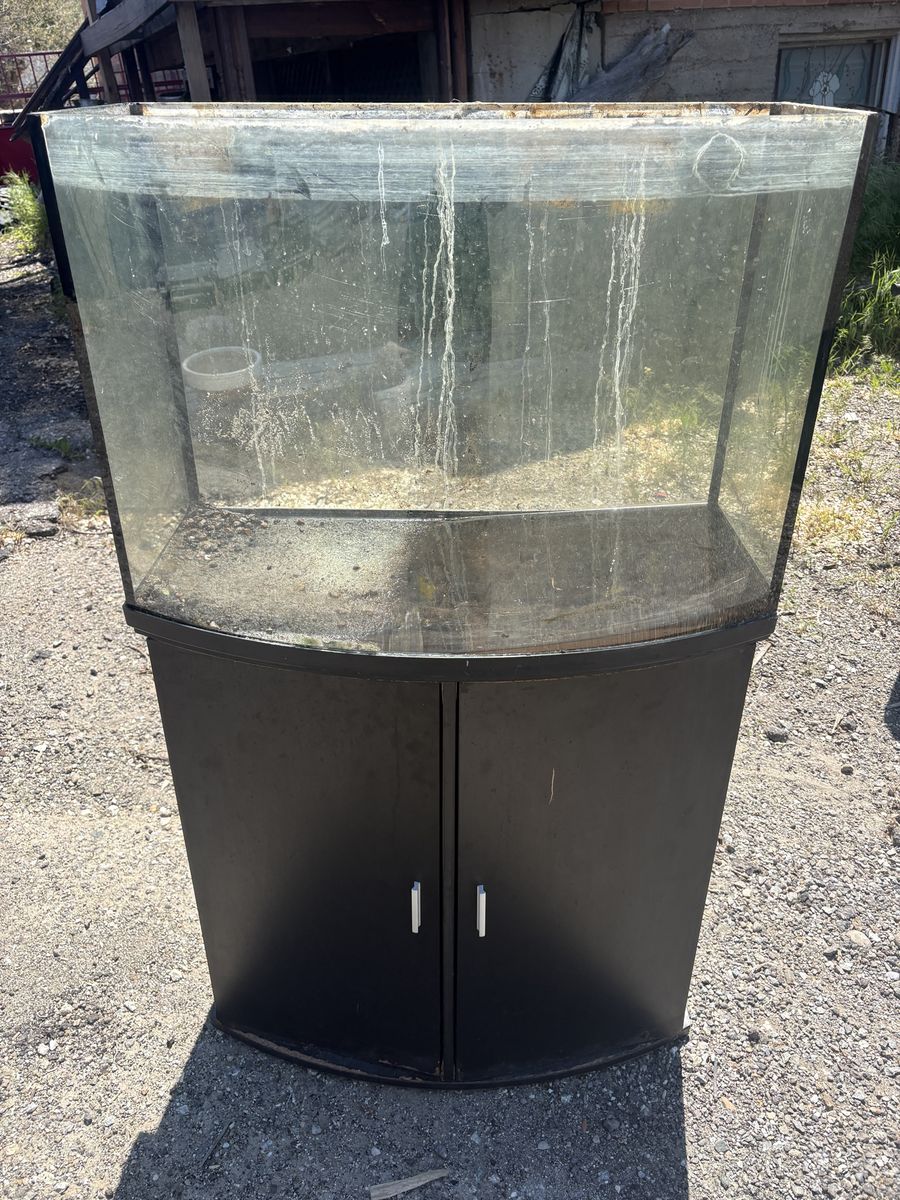 36 gallon rimless aquarium