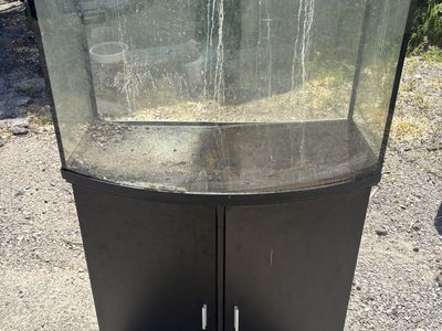 36 gallon rimless aquarium