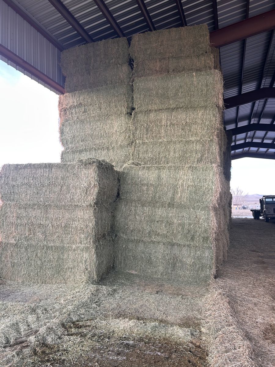 Alfalfa Hay In 3x4 Baled
