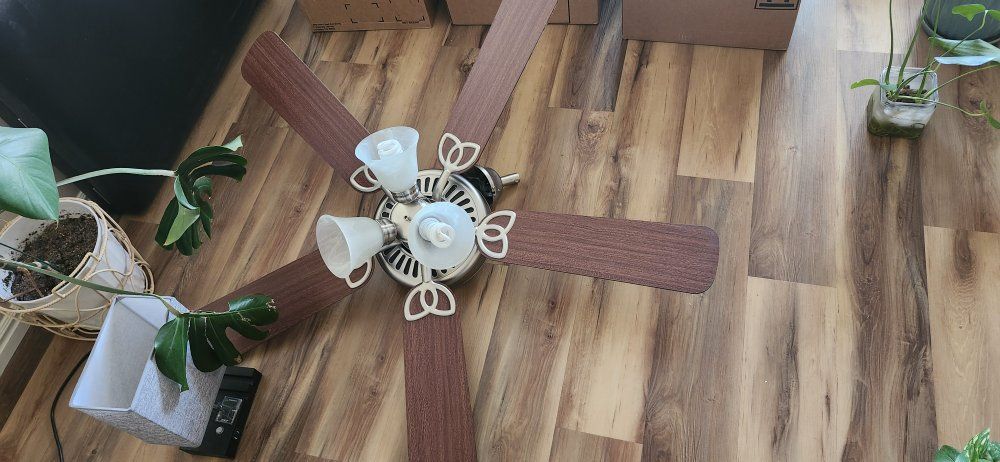Working Fan
