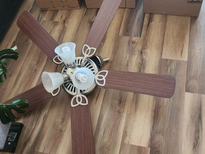 Working Fan