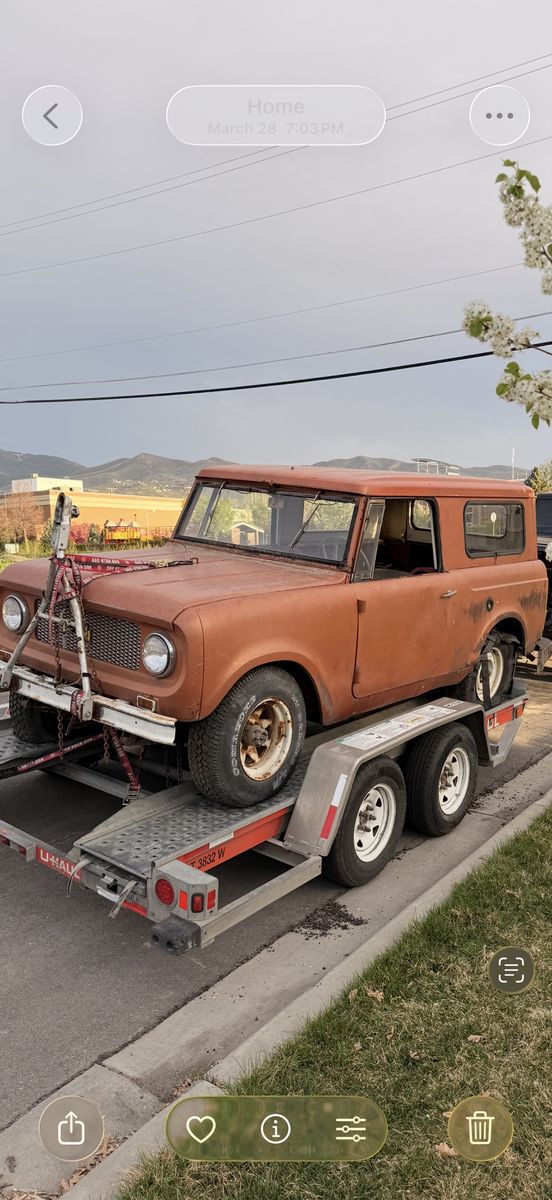 1964 International Scout 