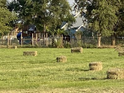 Alfalfa/Grass Hay for sale