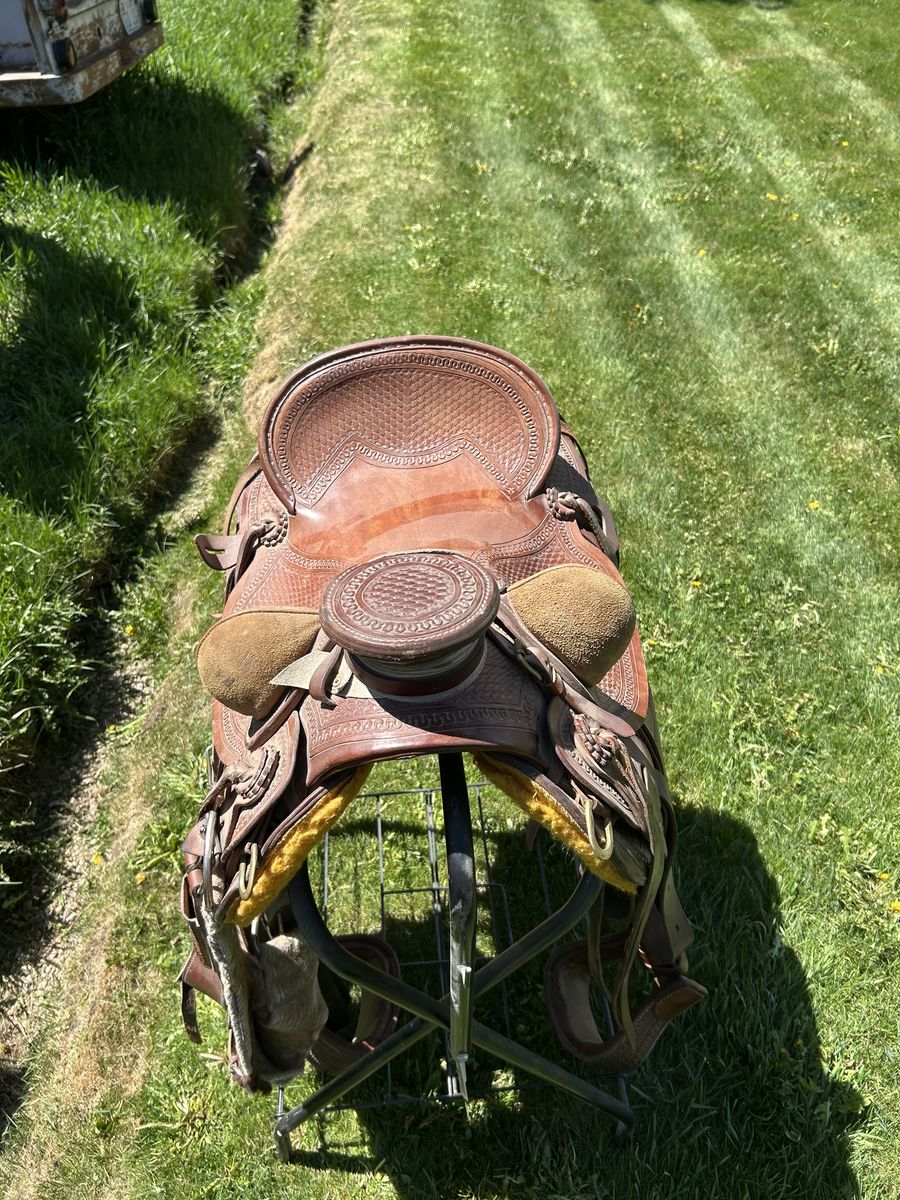 16 inch custom saddle