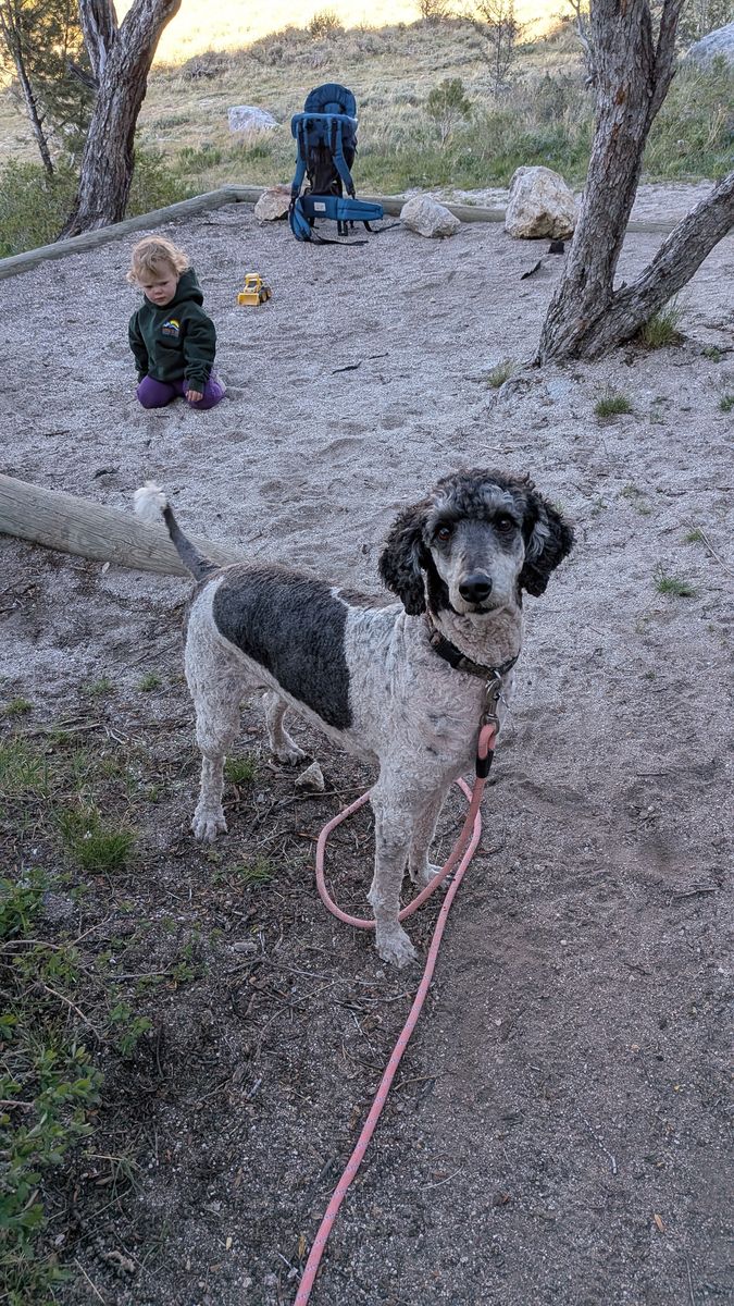 Main image 17