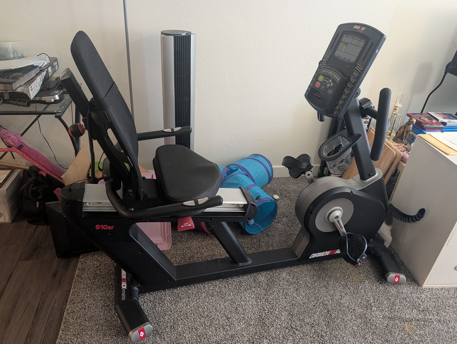 DiamondBack Fitness 910sr Recumbant Exercise Bike