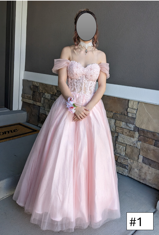 Prom/ Formal/ Quinceanera Dress