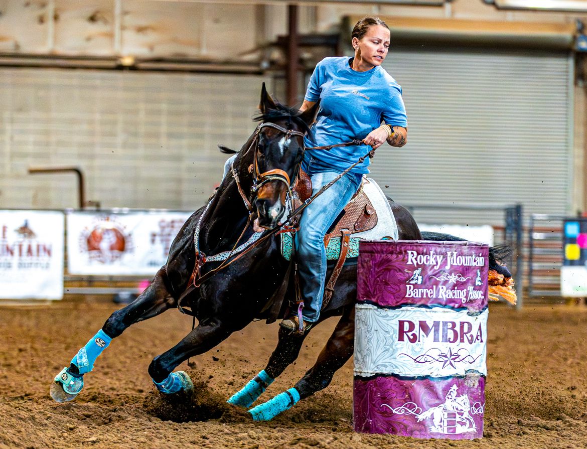 AQHA 2013 Mare For Sale/part trade