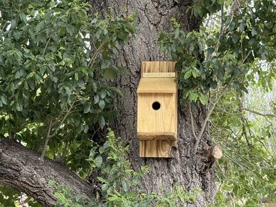 Bird house