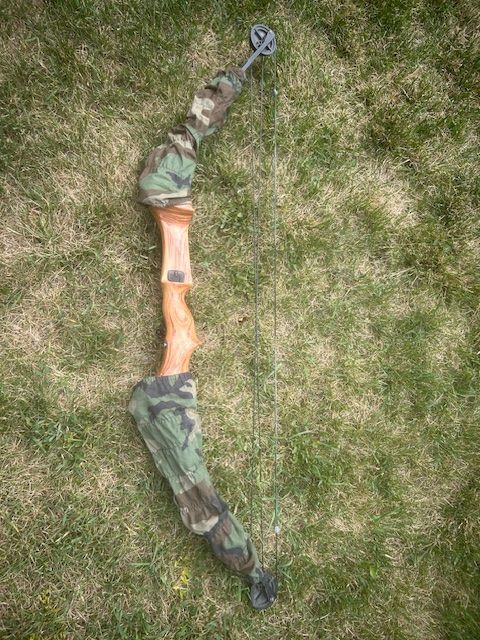 Compound Bow with Sleeves