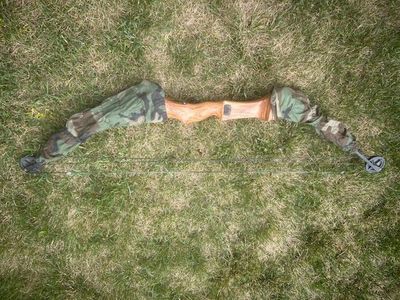 Compound Bow with Sleeves