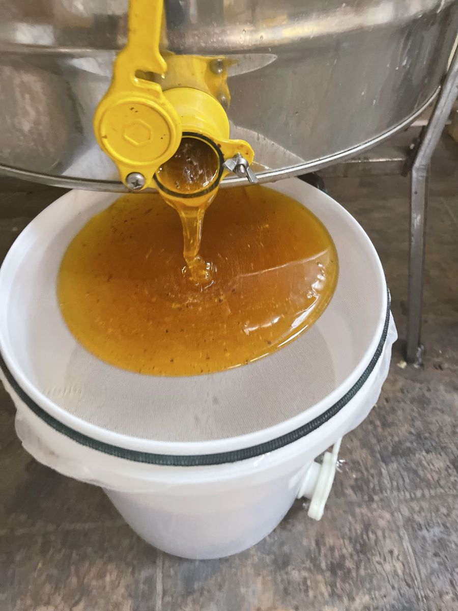 Fresh Raw Honey - Great for food storage!!