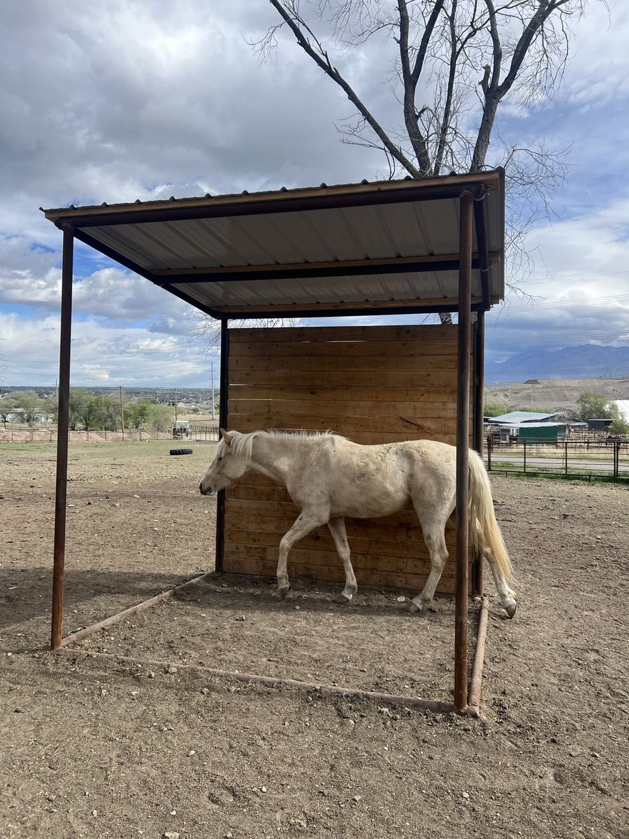 Lean to type animal shelter / barn