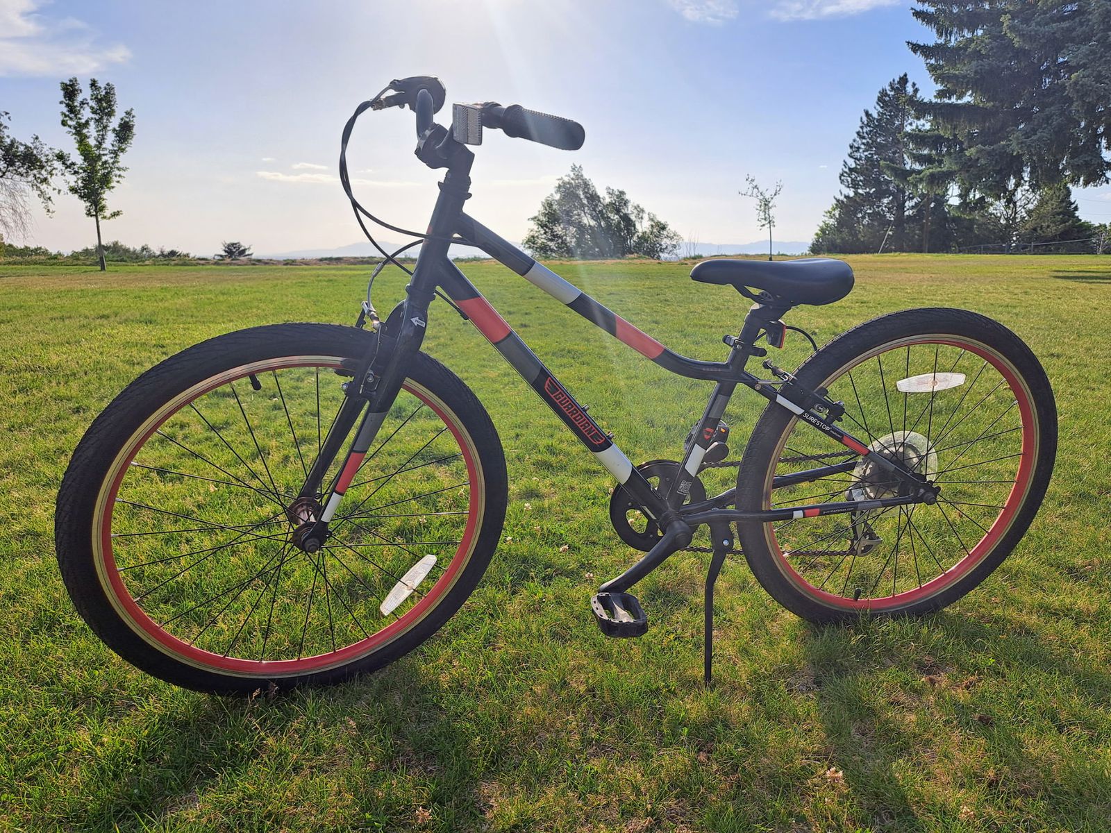 Guardian Kids Bike 24in
