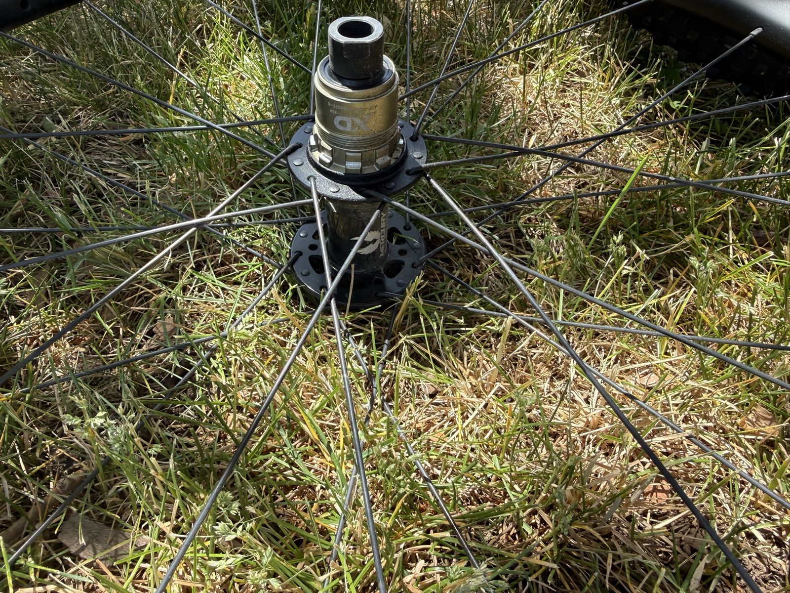 Main image 5