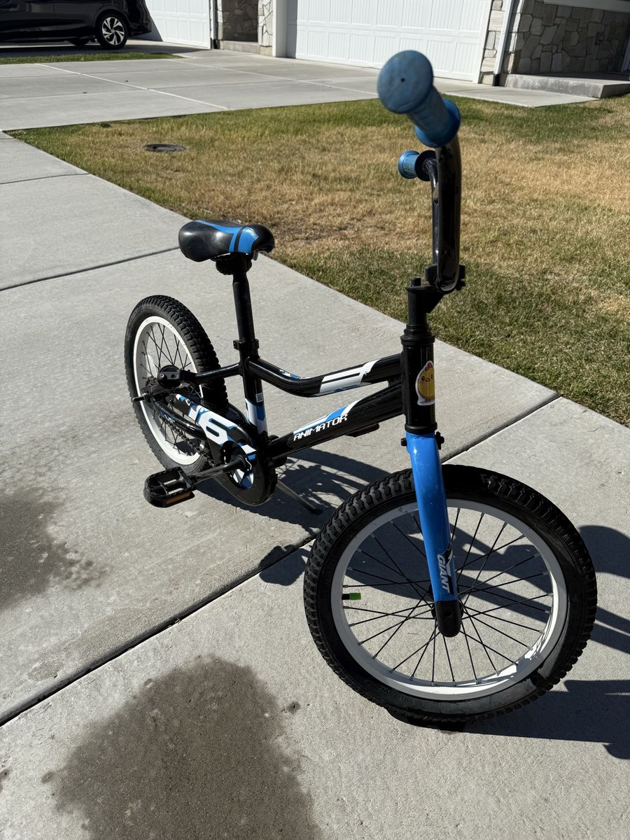 Giant Animator 16” Kids Bike