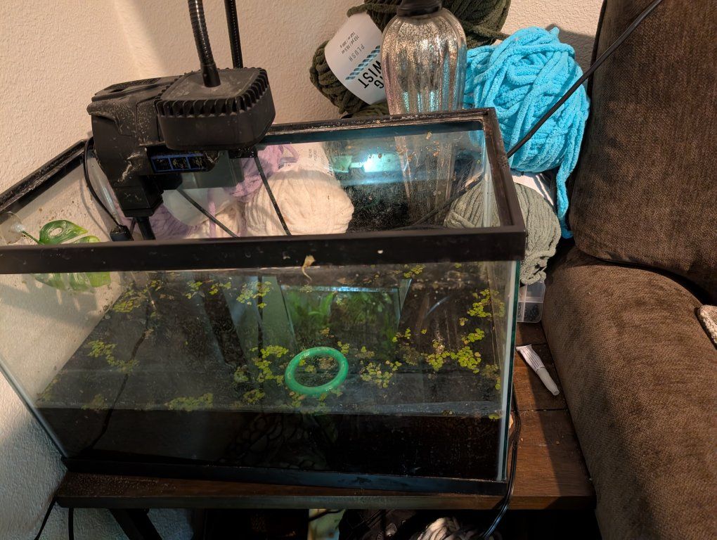 Glass Aquarium Fish Tank with Filter Setup and Light