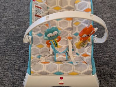 Fisher Price Baby Bouncer
