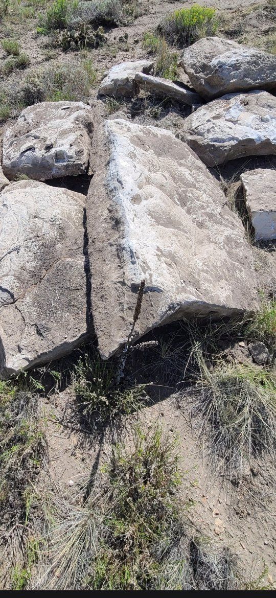 Boulders/Rocks