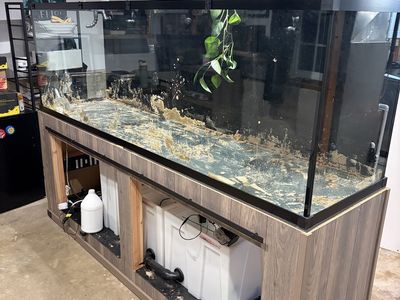 Custom 300 Gallon Tank