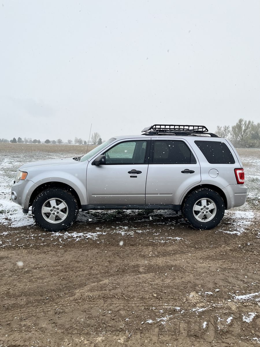 2010 Ford Escape XLT