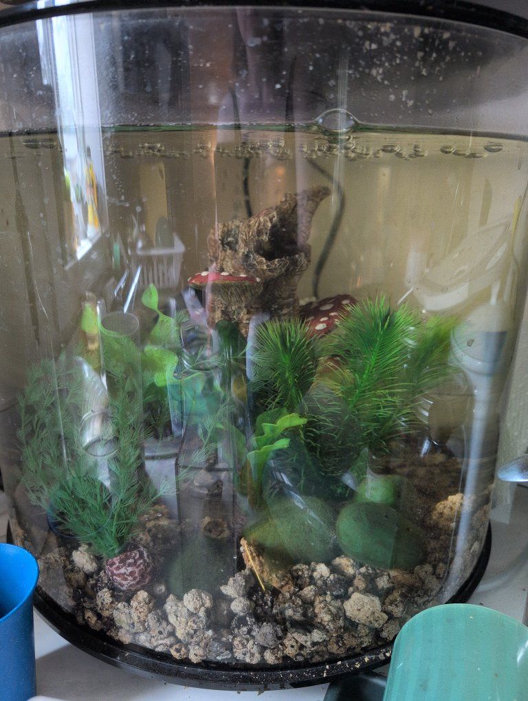 cylinder tank